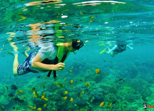 リーフクルーズ _07